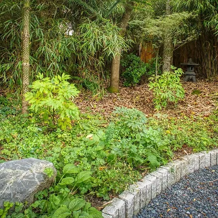 Sehome Garden Inn-2